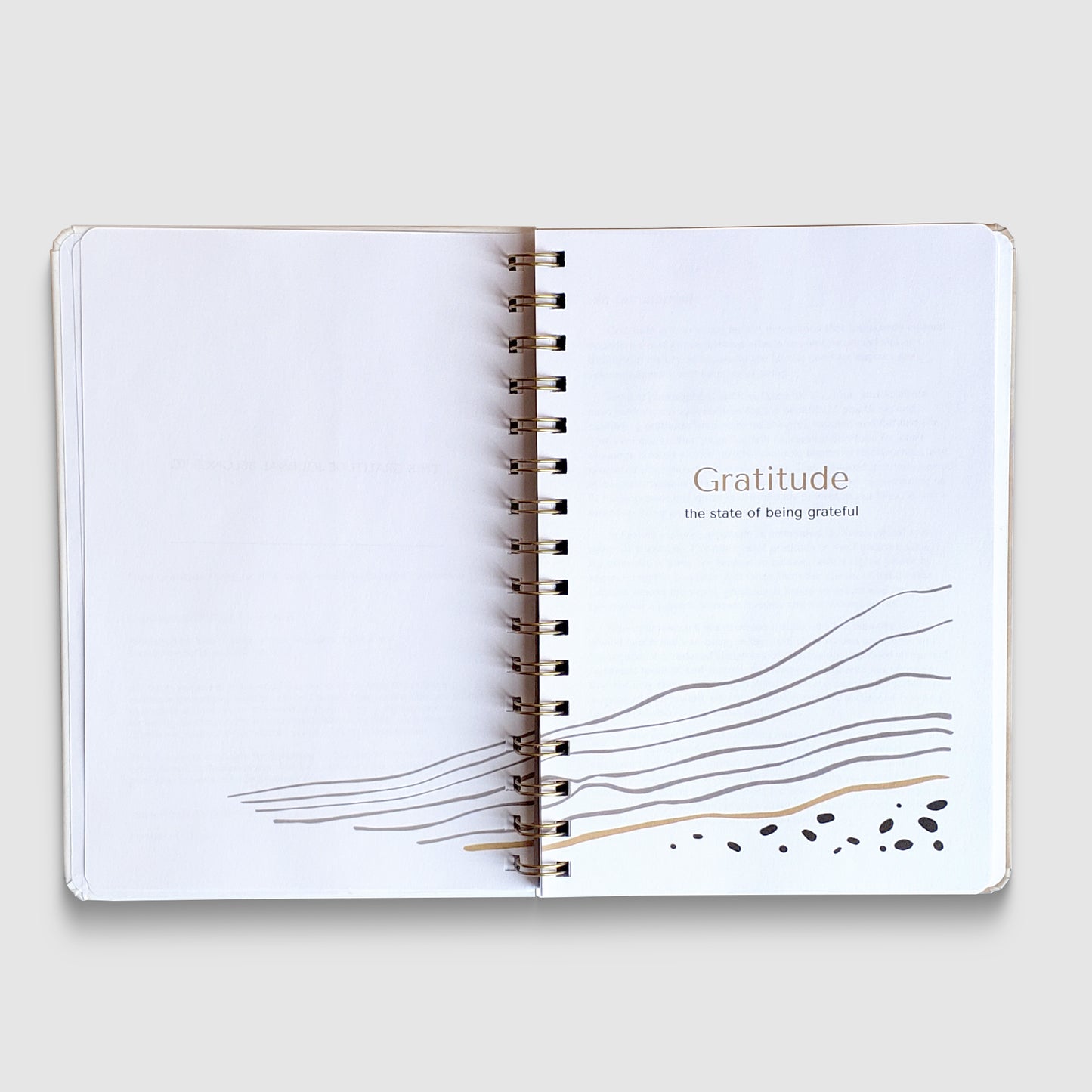 From Gratitude to Paper: A Writer's Journal to Creative Awakening