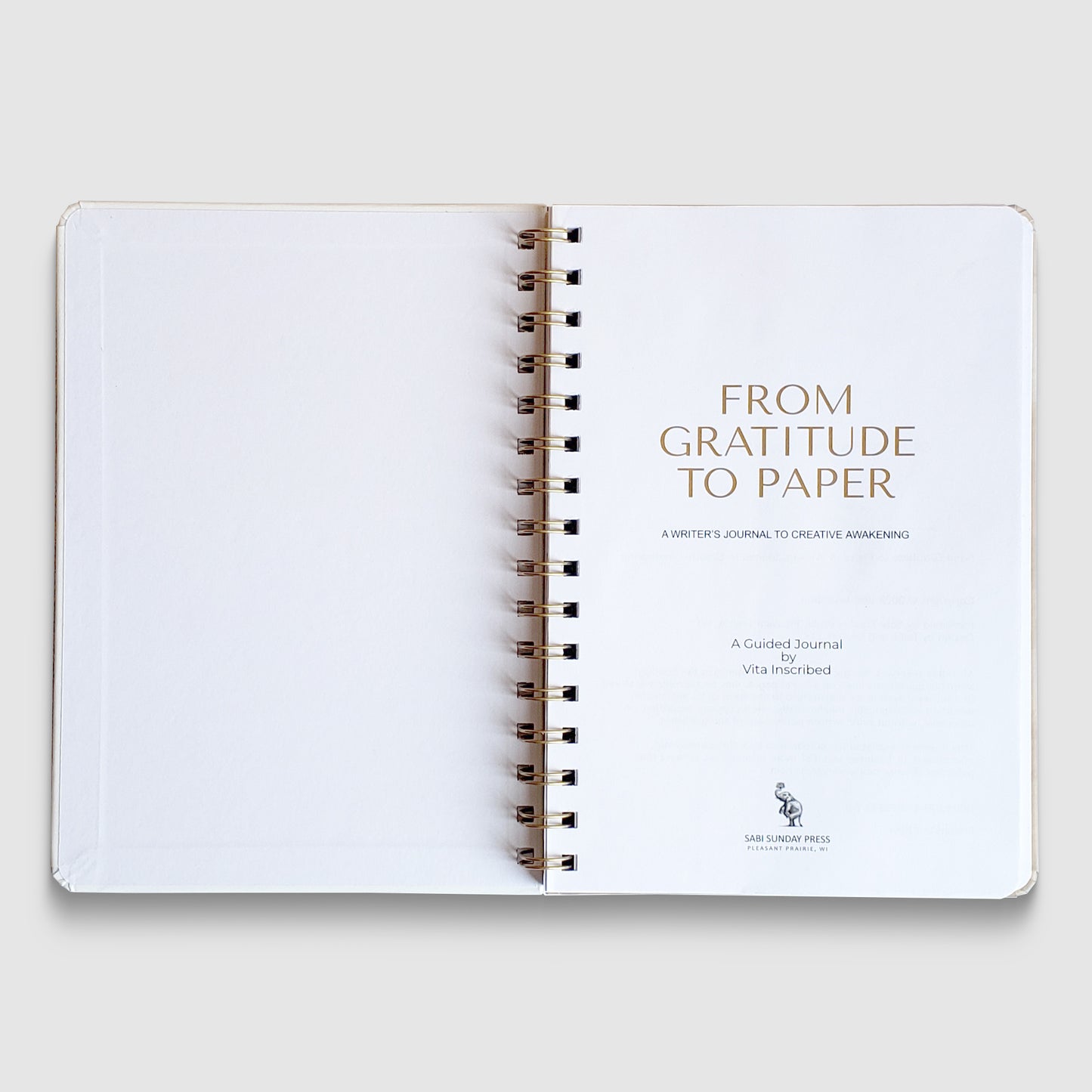 From Gratitude to Paper: A Writer's Journal to Creative Awakening
